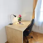Homestay Rakoczi Utca 59